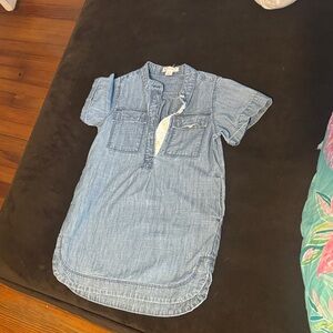 Crewcuts Light Blue Denim Dress